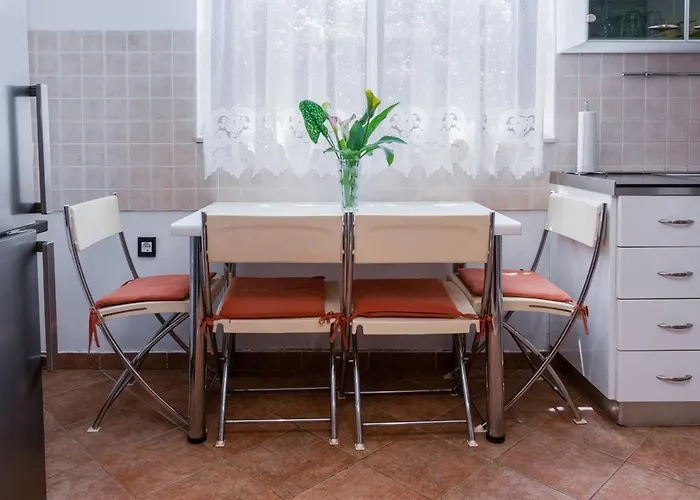 Apartments With Wifi Rijeka - 7825